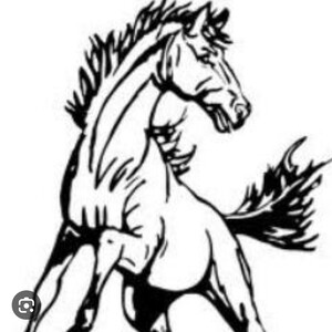 Farnsworth Mustangs (10:30 wave)